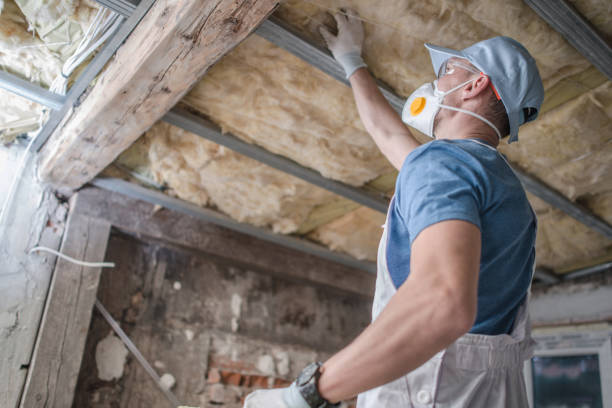 Best Insulation Materials and Products in Prien, LA