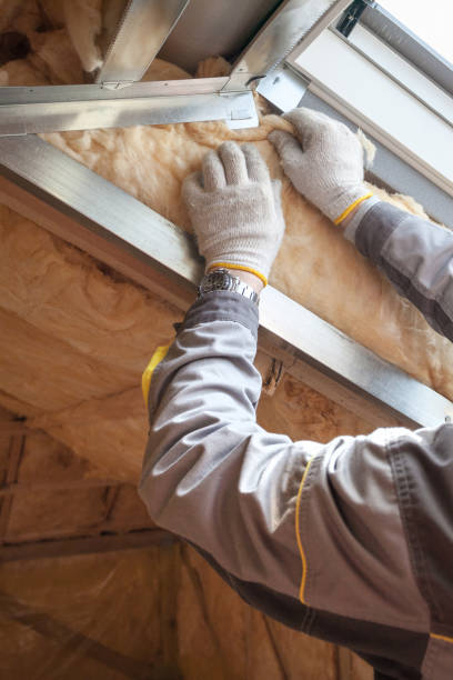 Best Commercial Insulation in Prien, LA