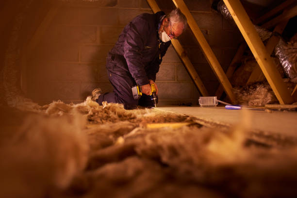 Best Residential Insulation in Prien, LA